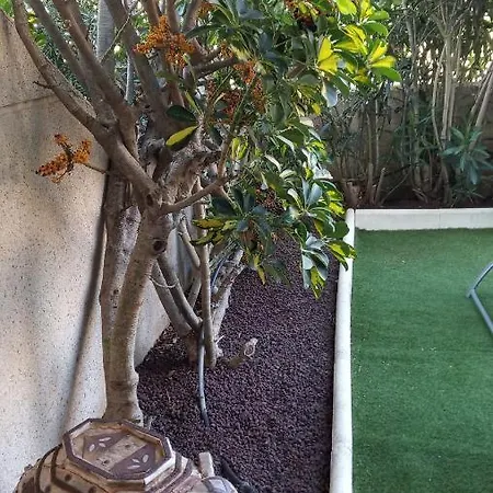 Appartamento Apartamento Con Jardin Y Piscina En El Balancon *